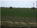 Flat farmland near Mill Bridge