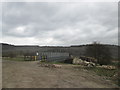 Footbridge over the River Torne