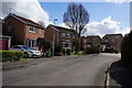 Nursery Gardens off Butt Lane, Beverley