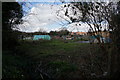 Allotments off Kitchen Lane, Beverley