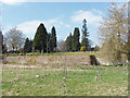 Farnham Town Cemetery