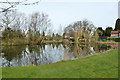 Pond, Coleshill