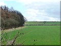 SE4134 : Farmland south-east of Parlington Hollins by Christine Johnstone