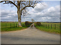 Narrow lane off Aylesbury Road, Cuddington