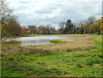 SP2872 : Abbey Fields lake, Kenilworth, looking west to Kenilworth Castle ruins by Robin Stott