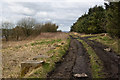 A bridleway at Marsh House