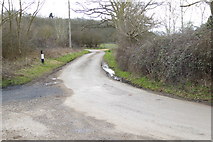 SU6856 : Short stretch of Wildmoor Lane between bends by Shazz