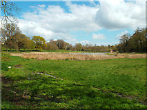 SP2872 : Abbey Fields lake, Kenilworth, looking east to the swimming pool and the abbey ruins by Robin Stott