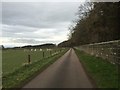 Stafford: road near Park Farm