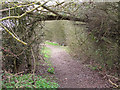 Public footpath near Chigborough Pits, Heybridge