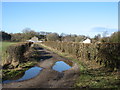 The Cumbria Way approaching Sebergham