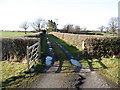 The drive to Currigg Farm