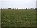 Grazing off Mablethorpe Road