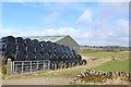 Bales & shed at Broadstone