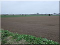 Farmland near Meers Bridge