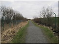 NT0185 : Path Around Preston Island by Les Hull