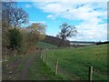 Bridleway near Upper Midway