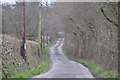 Mid Devon : Country Lane