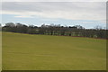 Farmland east of Telford