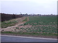 Crop field off Manby Road (B1200)