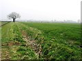 Farmland near Deopham