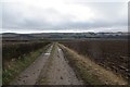 Farm track, Arnbog