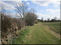 Farm track at Brauncewell