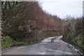 North Devon : Country Lane