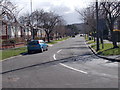 Red Doles Road - viewed from Alder Street