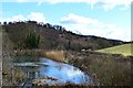 Pond on Longhope Brook