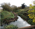 Cherwell downstream from Tramway Road, Banbury