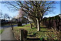 Verge alongside Hull Bridge Road, Beverley