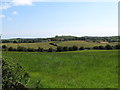 Drumlin farmland between the Ballyculter and Ballyhornan roads