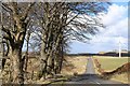 Straight road beyond Glebe Knowe