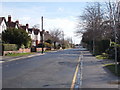 Manston Gardens - viewed from Church Lane