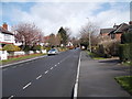 The Drive - looking towards Manston Gardens