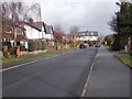 Park Avenue - looking towards Manston Gardens