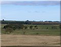 Stubble field at Park Head Farm