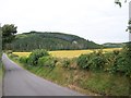 J5345 : The wooded slopes of Slievenagriddle viewed from the Ballyculter Road by Eric Jones