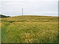 Powerlines running through cropland north of the Ballyculter Road