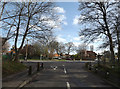 TG1909 : Larkman Lane, Bowthorpe, by Geographer