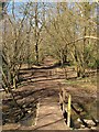 Middle Bridge, Ashenground Park