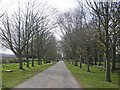 Entrance driveway, Brymore School