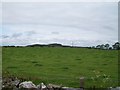 Pastureland on the north side of the Ballyculter Road in Ballyrenan TD