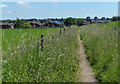 Footpath in Franche