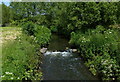 Upstream along the River Stour at Beechcote