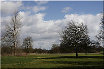 TL5238 : View From Audley End by Peter Trimming