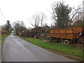 Logging yard by Ewhurst Lane