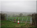 Wonky field gate by Ewhurst Lane