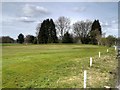 SJ8981 : Avro Golf Club 8th/17th (Ashton) Fairway and Green by David Dixon